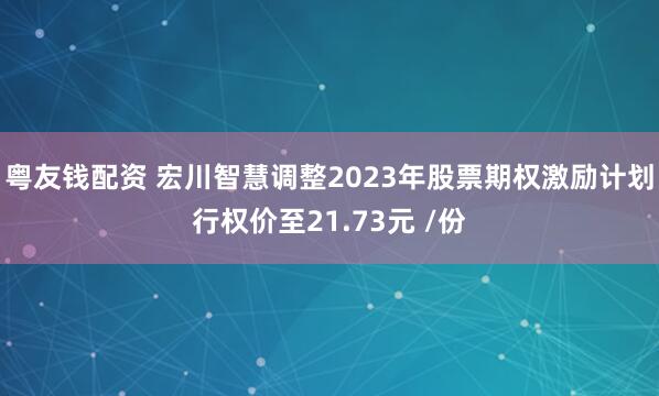 粤友钱配资 宏川智慧调整2023年股票期权激励计划行权价至21.73元 /份