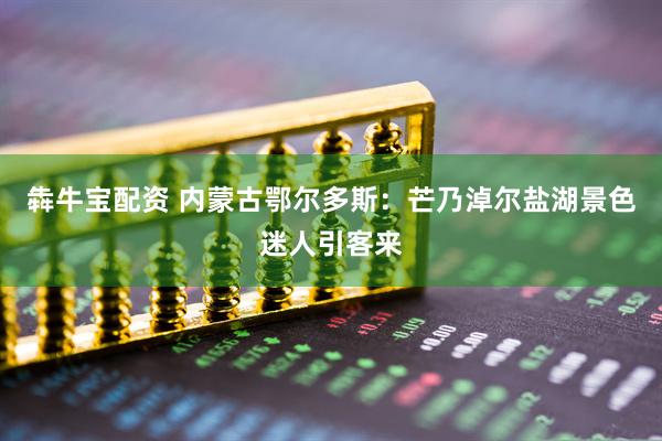 犇牛宝配资 内蒙古鄂尔多斯：芒乃淖尔盐湖景色迷人引客来