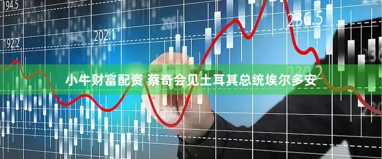 小牛财富配资 蔡奇会见土耳其总统埃尔多安