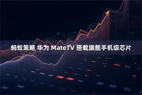 蚂蚁策略 华为 MateTV 搭载旗舰手机级芯片