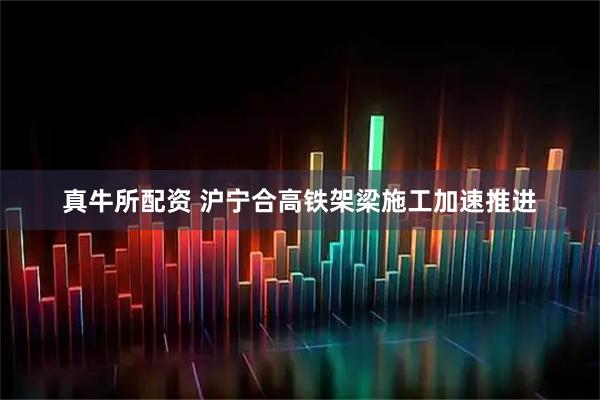 真牛所配资 沪宁合高铁架梁施工加速推进