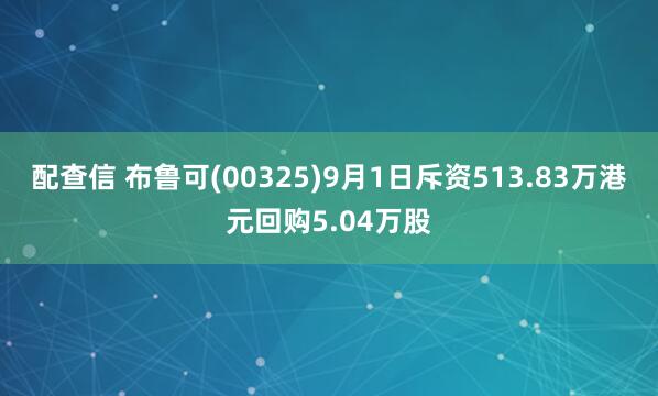 配查信 布鲁可(00325)9月1日斥资513.83万港元回购5.04万股